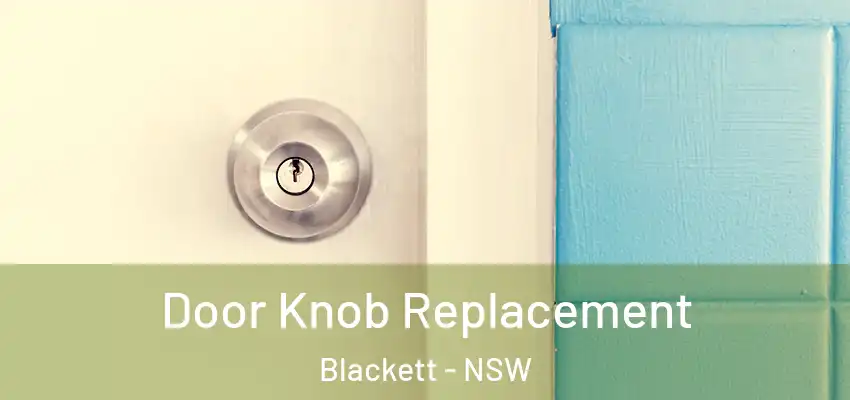 Door Knob Replacement Blackett - NSW