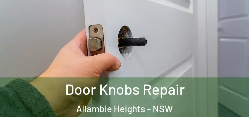 Door Knobs Repair Allambie Heights - NSW