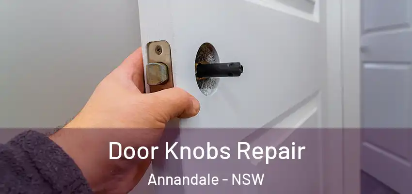 Door Knobs Repair Annandale - NSW