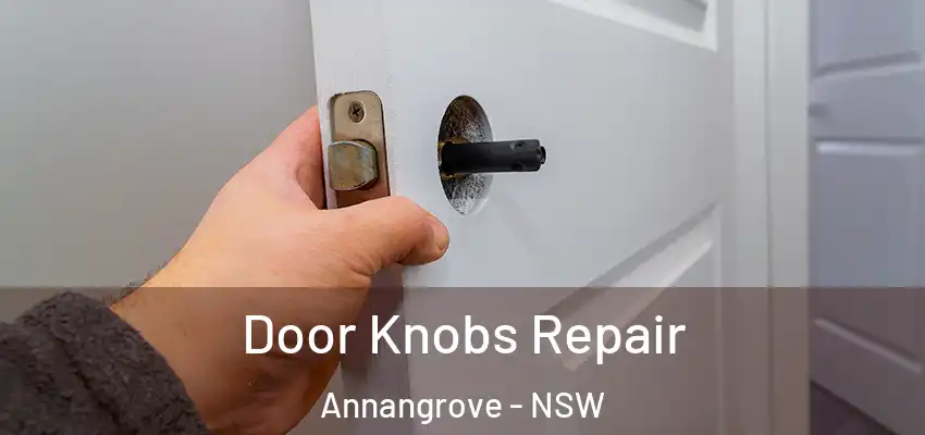 Door Knobs Repair Annangrove - NSW