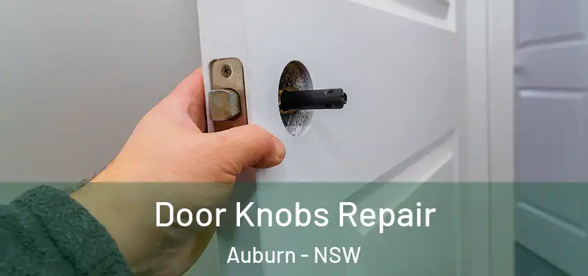 Door Knobs Repair Auburn - NSW