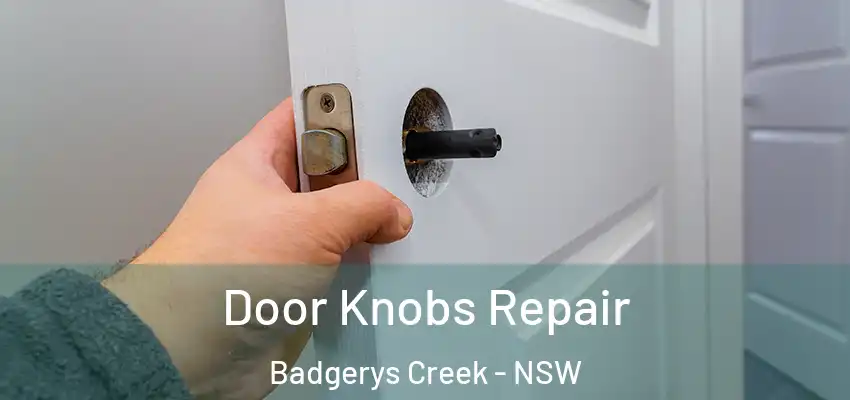 Door Knobs Repair Badgerys Creek - NSW