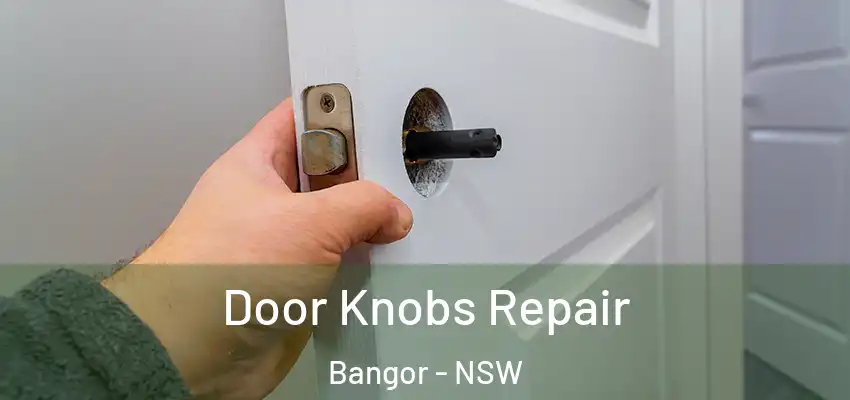 Door Knobs Repair Bangor - NSW