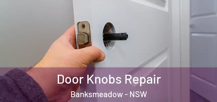 Door Knobs Repair Banksmeadow - NSW