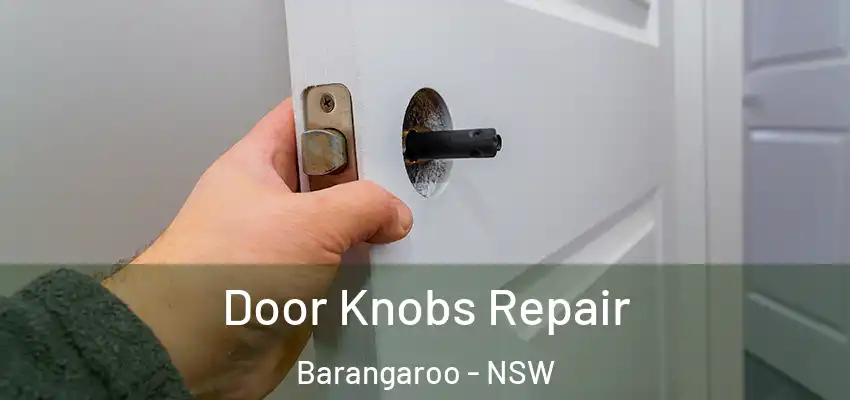 Door Knobs Repair Barangaroo - NSW