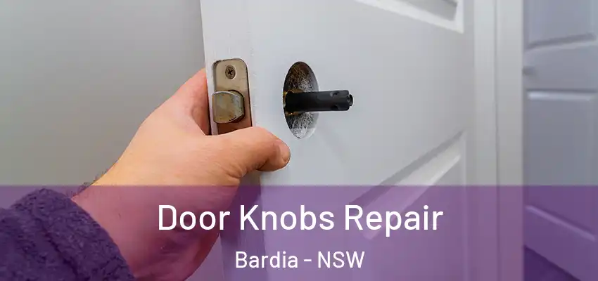 Door Knobs Repair Bardia - NSW