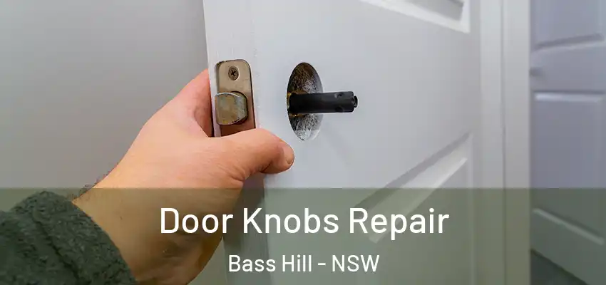 Door Knobs Repair Bass Hill - NSW