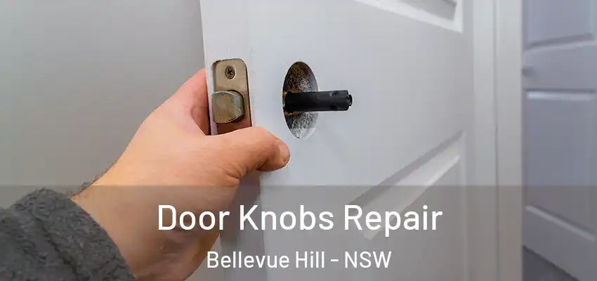 Door Knobs Repair Bellevue Hill - NSW