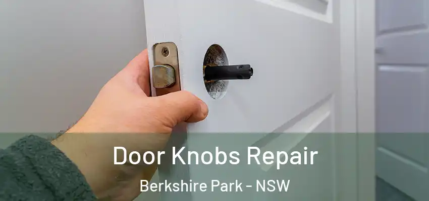 Door Knobs Repair Berkshire Park - NSW