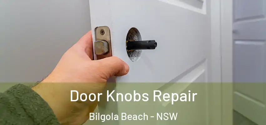 Door Knobs Repair Bilgola Beach - NSW