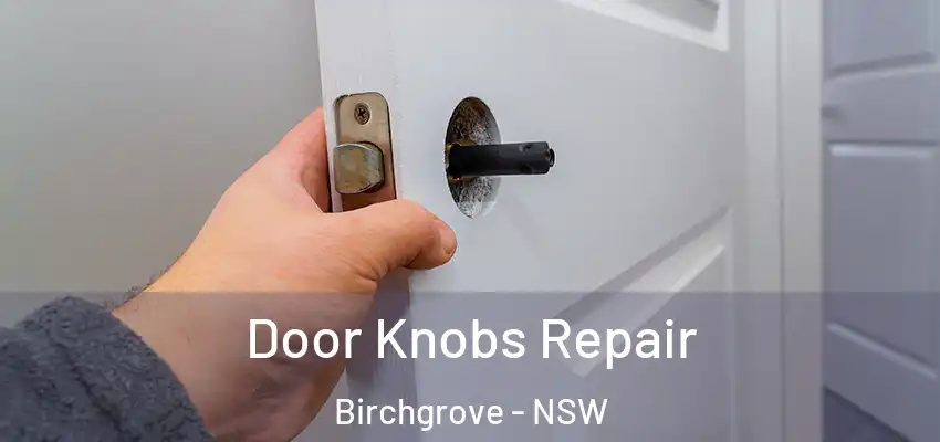 Door Knobs Repair Birchgrove - NSW