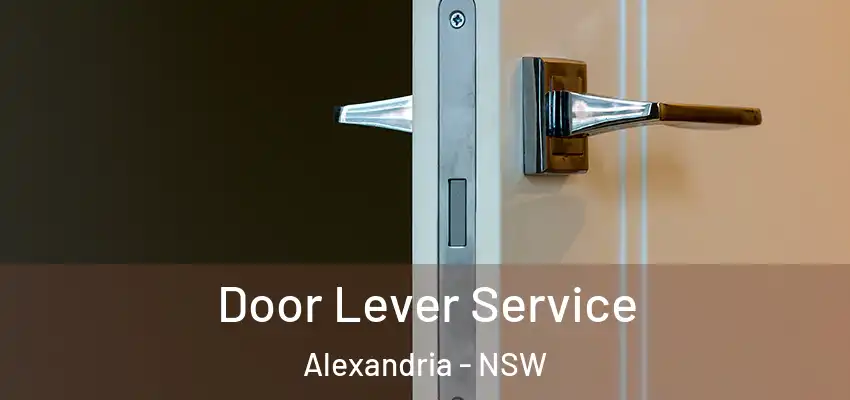 Door Lever Service Alexandria - NSW