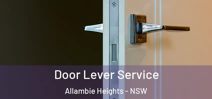 Door Lever Service Allambie Heights - NSW