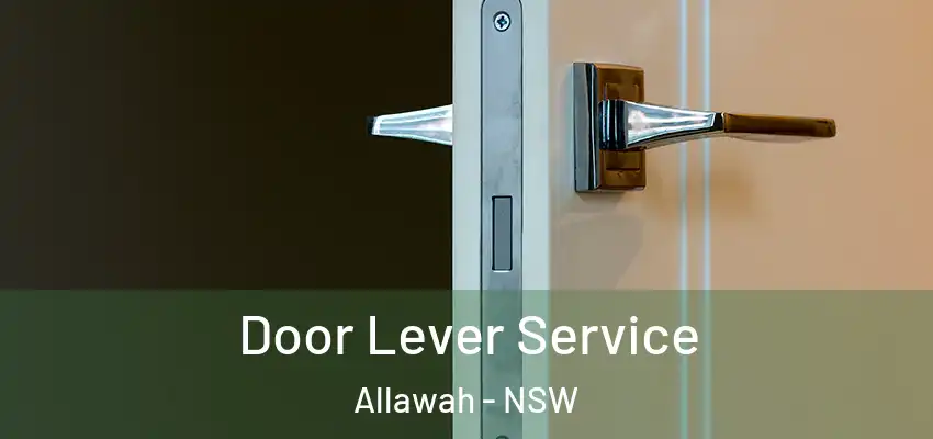 Door Lever Service Allawah - NSW