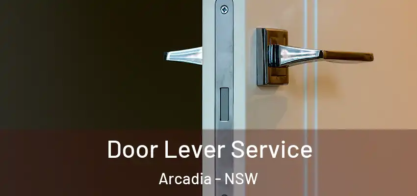 Door Lever Service Arcadia - NSW