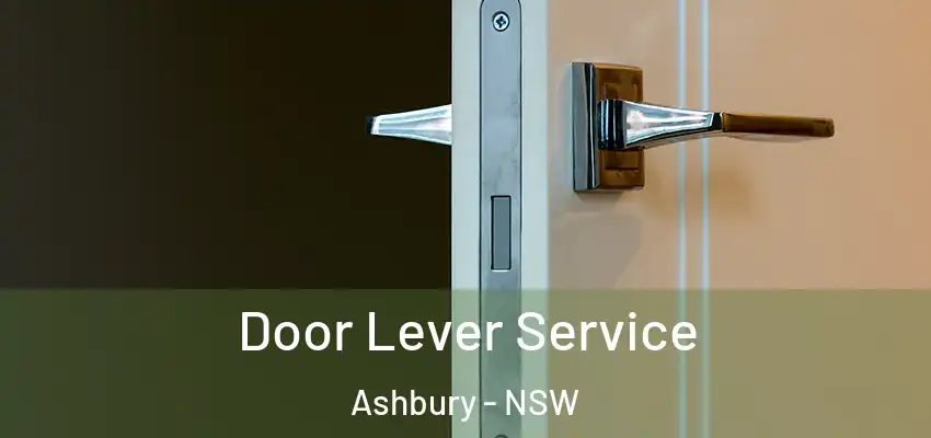Door Lever Service Ashbury - NSW