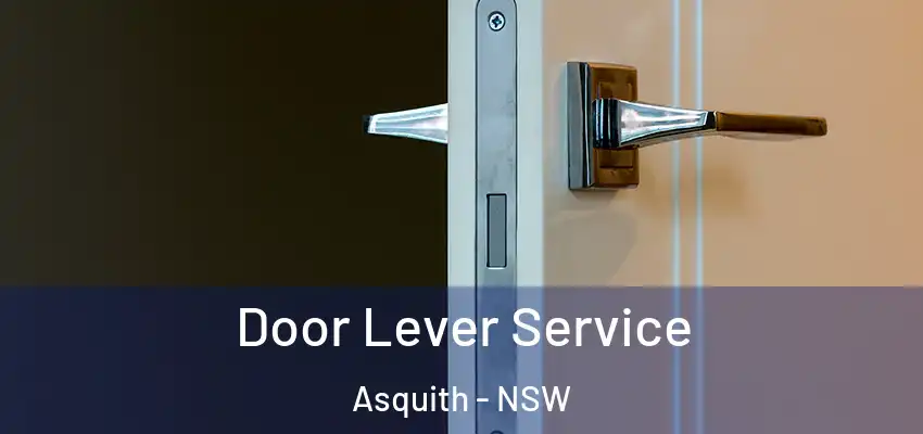 Door Lever Service Asquith - NSW