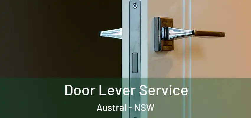 Door Lever Service Austral - NSW