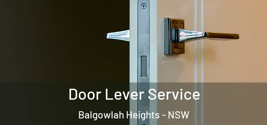 Door Lever Service Balgowlah Heights - NSW