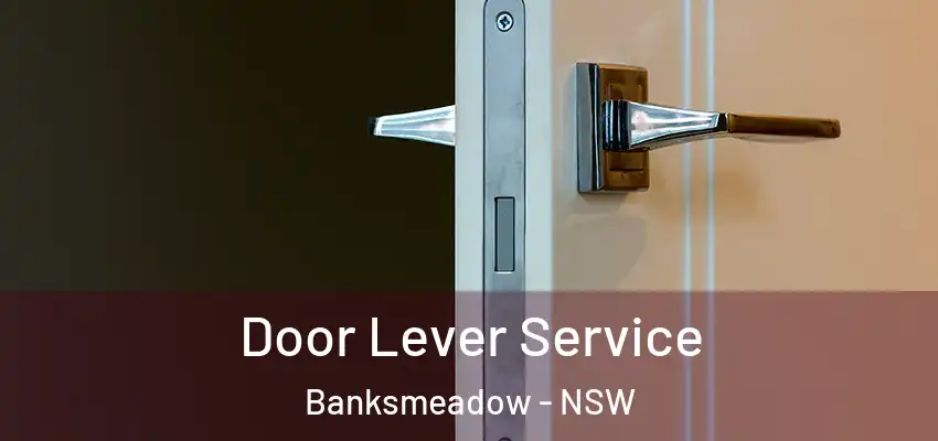 Door Lever Service Banksmeadow - NSW