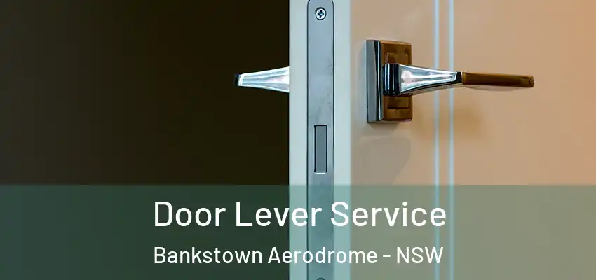 Door Lever Service Bankstown Aerodrome - NSW