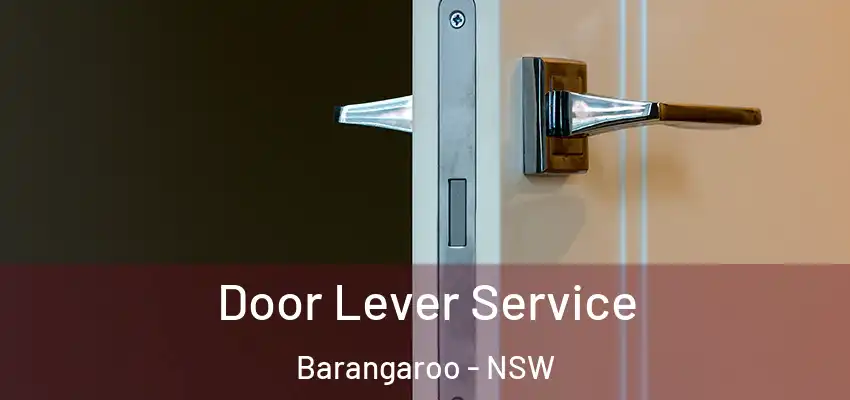 Door Lever Service Barangaroo - NSW