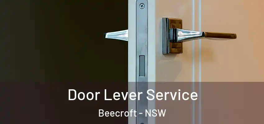 Door Lever Service Beecroft - NSW