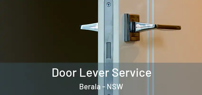 Door Lever Service Berala - NSW