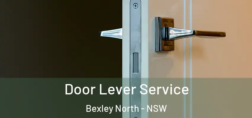 Door Lever Service Bexley North - NSW