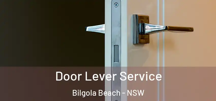 Door Lever Service Bilgola Beach - NSW