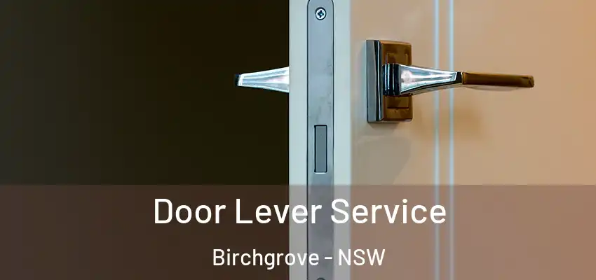 Door Lever Service Birchgrove - NSW