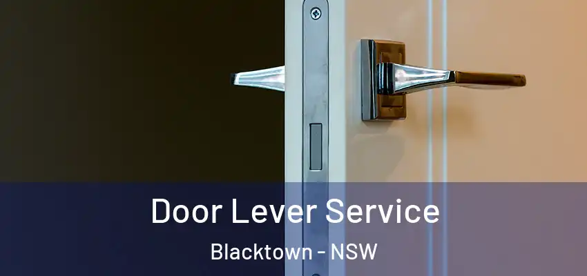 Door Lever Service Blacktown - NSW