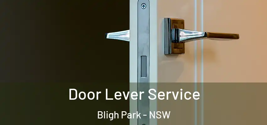 Door Lever Service Bligh Park - NSW