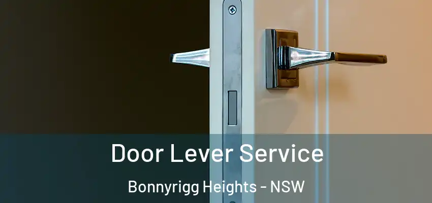 Door Lever Service Bonnyrigg Heights - NSW