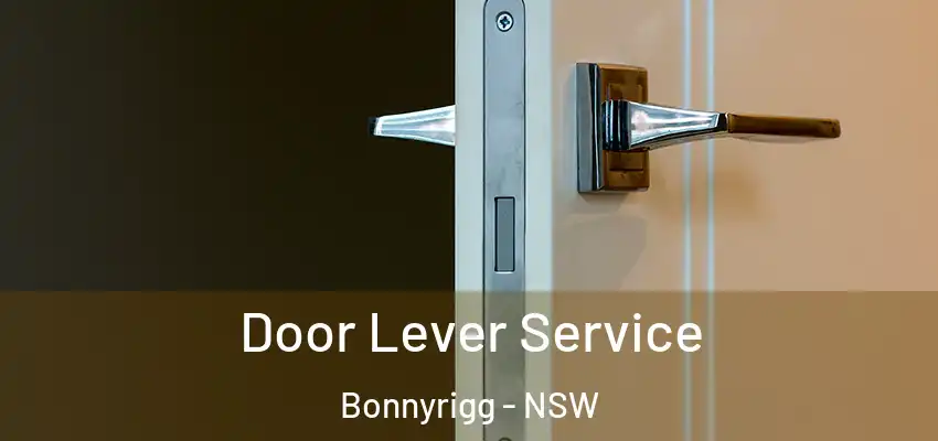 Door Lever Service Bonnyrigg - NSW