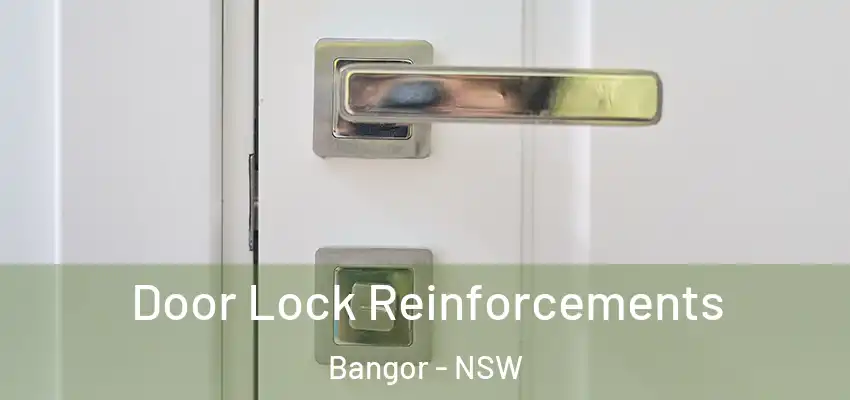 Door Lock Reinforcements Bangor - NSW