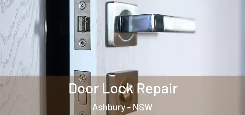 Door Lock Repair Ashbury - NSW