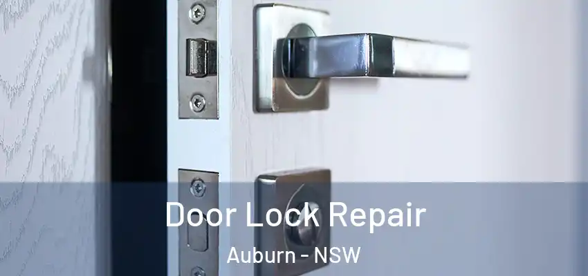 Door Lock Repair Auburn - NSW