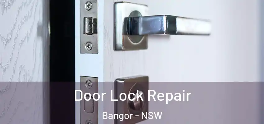Door Lock Repair Bangor - NSW