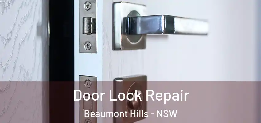 Door Lock Repair Beaumont Hills - NSW