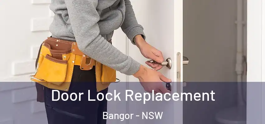 Door Lock Replacement Bangor - NSW