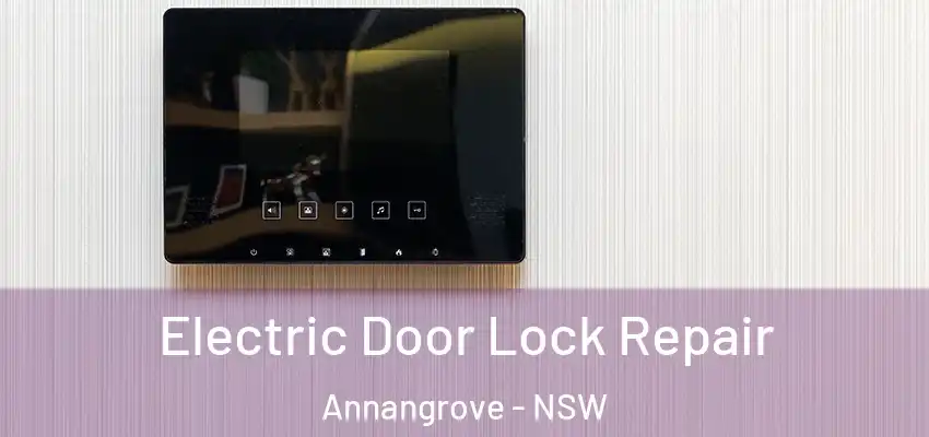 Electric Door Lock Repair Annangrove - NSW