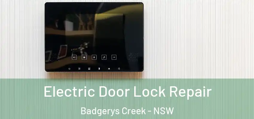 Electric Door Lock Repair Badgerys Creek - NSW