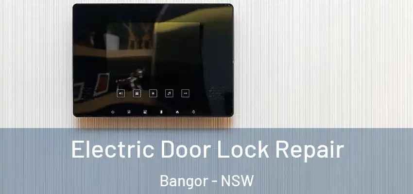 Electric Door Lock Repair Bangor - NSW