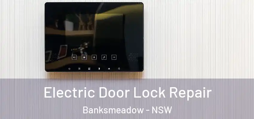 Electric Door Lock Repair Banksmeadow - NSW