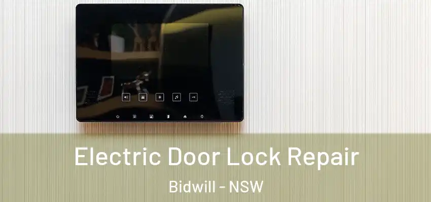 Electric Door Lock Repair Bidwill - NSW