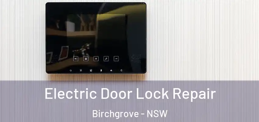 Electric Door Lock Repair Birchgrove - NSW