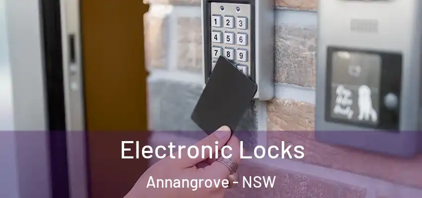 Electronic Locks Annangrove - NSW