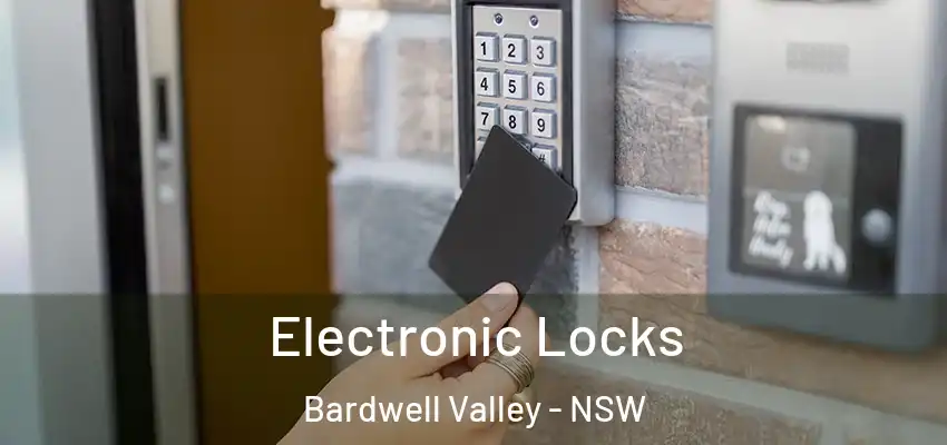 Electronic Locks Bardwell Valley - NSW