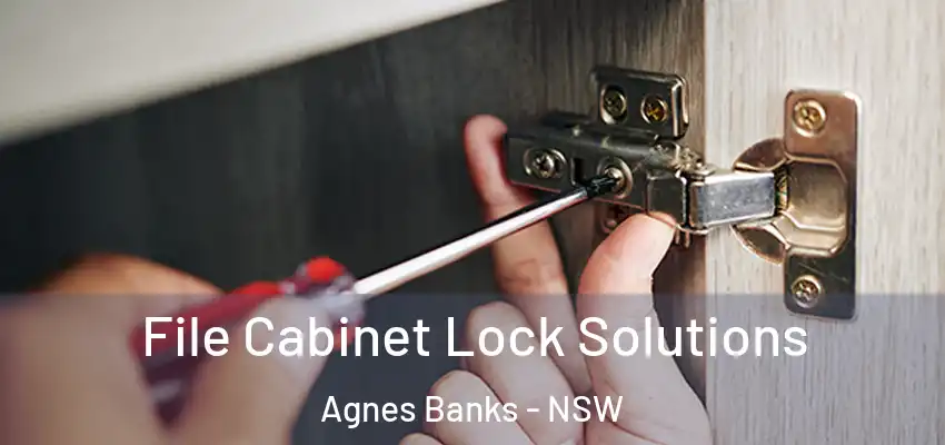 File Cabinet Lock Solutions Agnes Banks - NSW